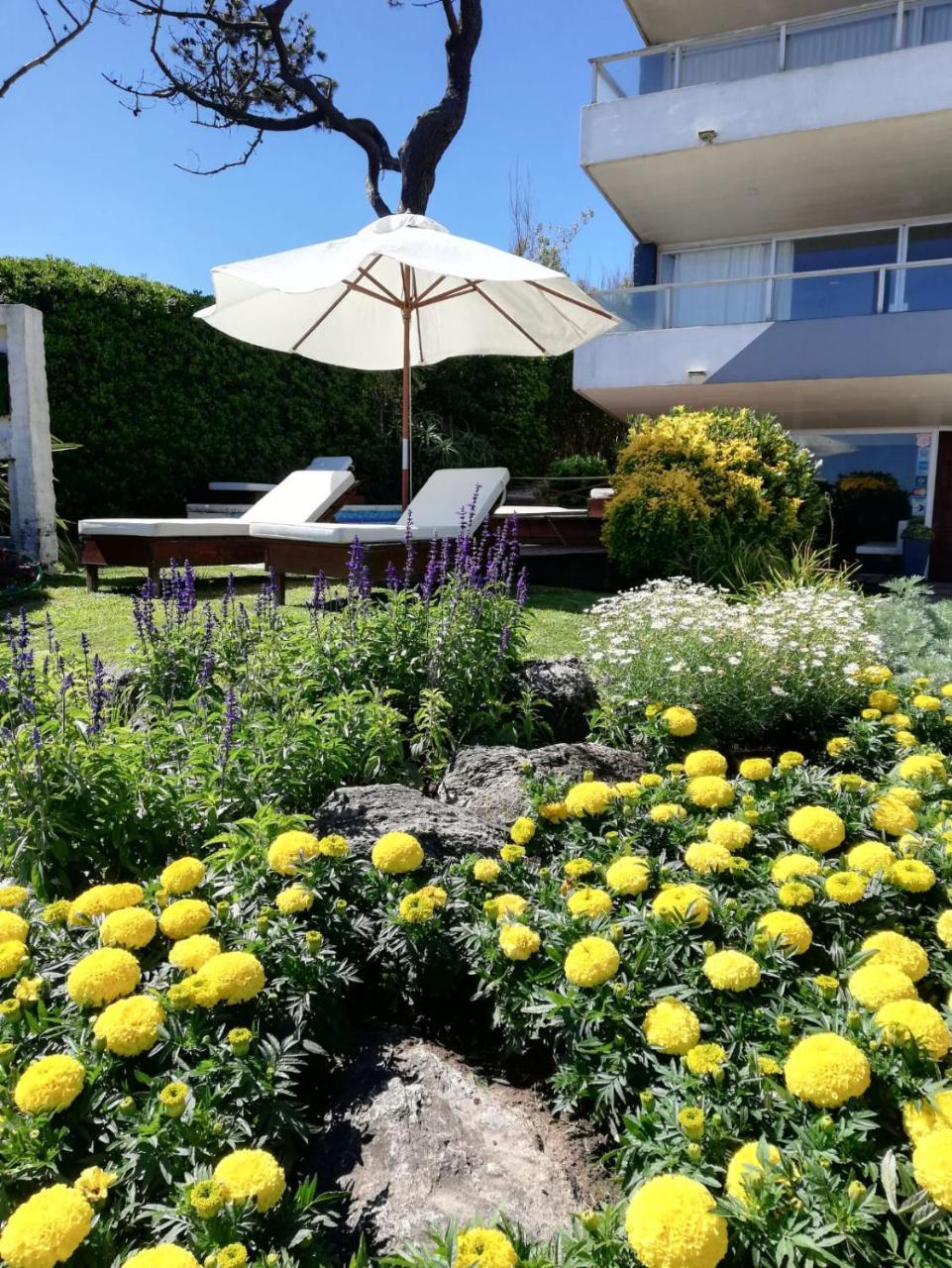 Hotel Bda &